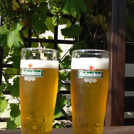 Rezidence Fami Deluxe Design 3* Staré Splavy